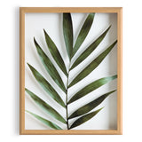 Blake Botanical 5F Framed Printed Glass by Amy Peterson