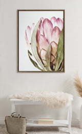 Sylvie Pink Protea Flower Framed Canvas by Amy Peterson by kateandlaurel - product image 4 for Resin Society