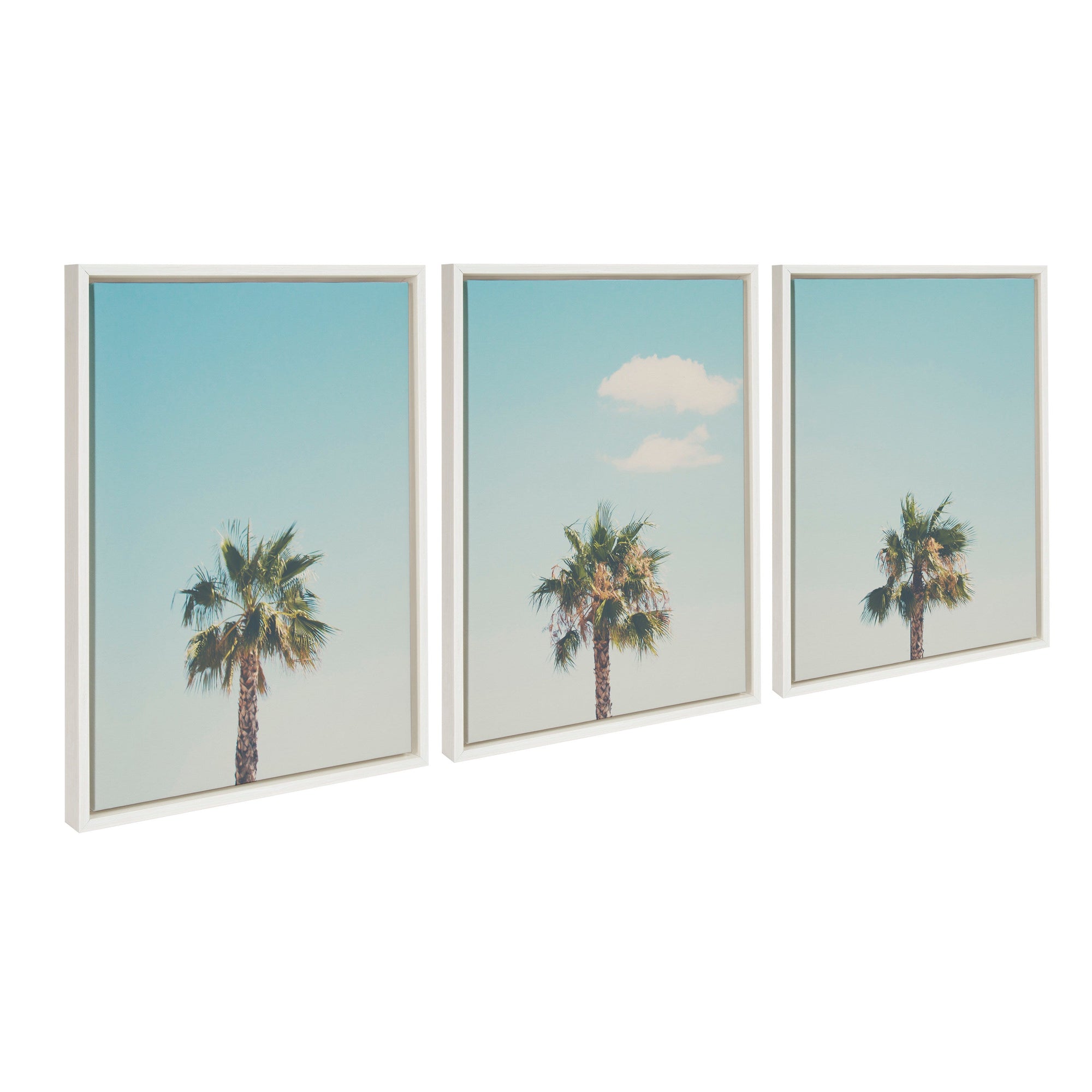 Sylvie Trio of Palm Trees 1, 2 and 3 Framed Canvas by kateandlaurel - product image 7 for Resin Society