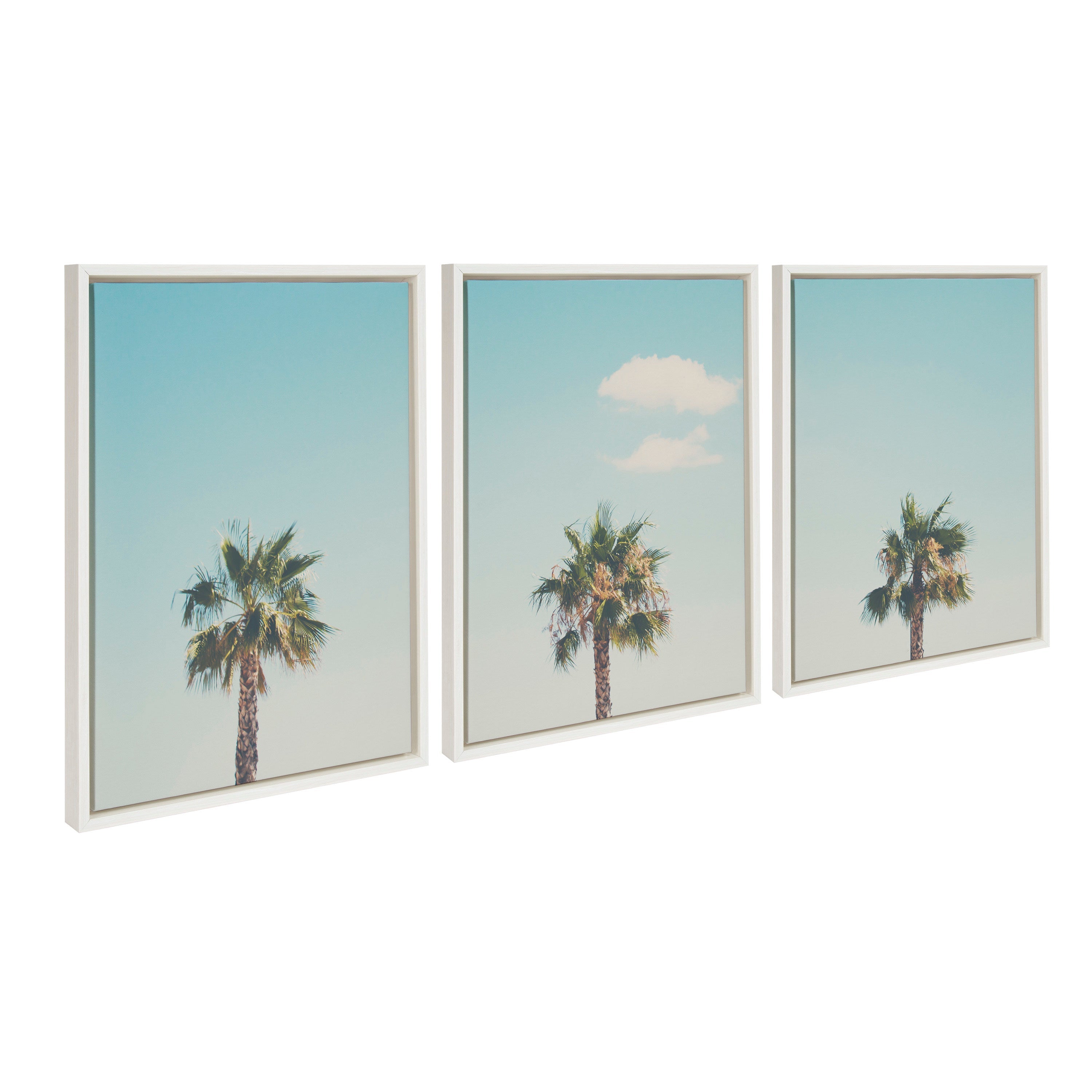 Sylvie Trio of Palm Trees 1, 2 and 3 Framed Canvas by kateandlaurel - product image 7 for Resin Society