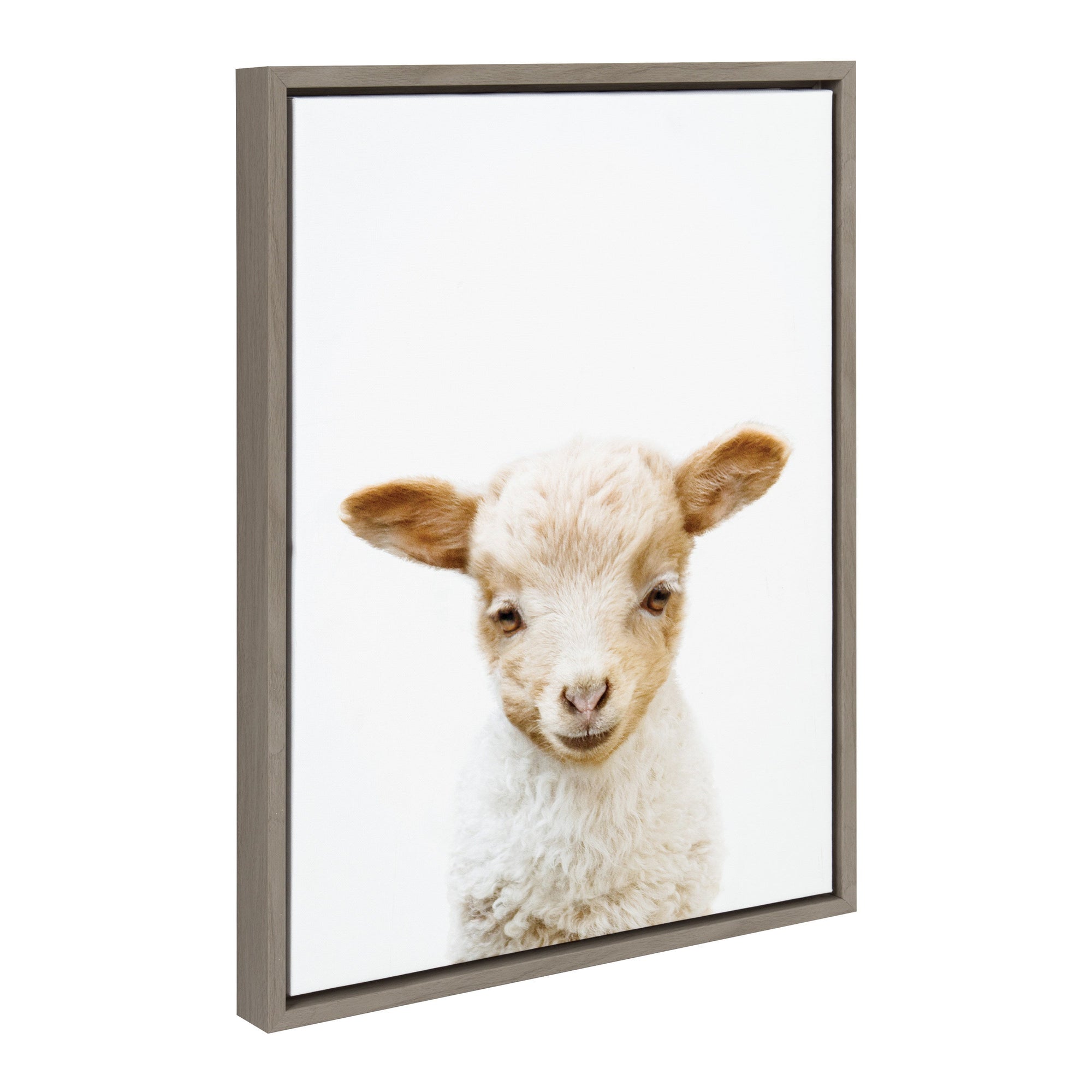 Sylvie Animal Studio Lamb framed canvas art by Amy Peterson Art Studio showing a soft light-colored lamb with a neutral background