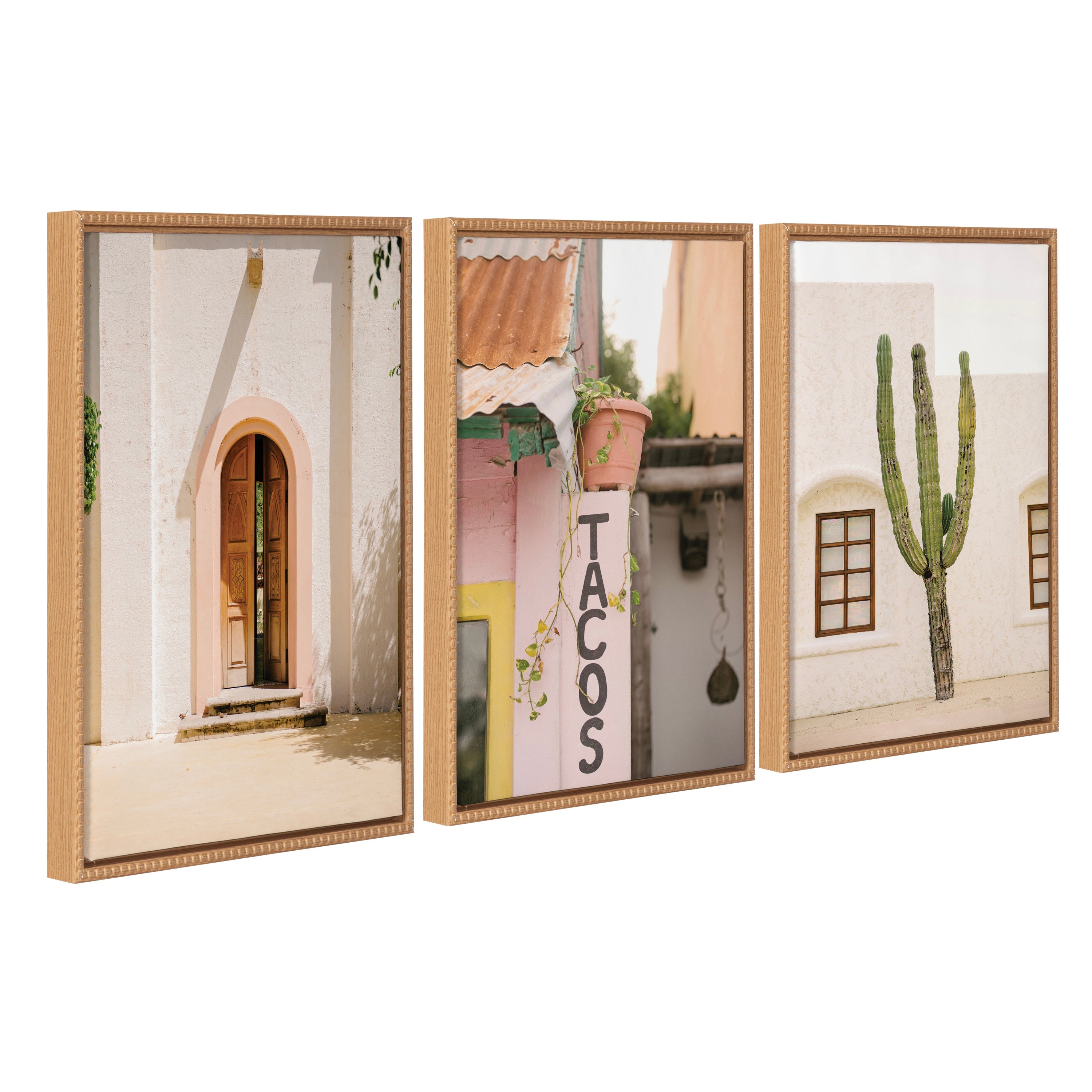 Sylvie Cabo San Lucas No 4, Isla Holbox No 3, Cactus no 2 Mexico Framed Canvas Art Set by Crystal Lynn Collins