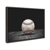 Sylvie Baseball Framed Canvas by kateandlaurel - product image 2 for Resin Society