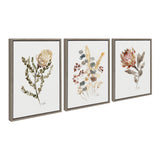 Sylvie Wild Banksia Wild Salvia and Wild King Protea Framed Canvas by kateandlaurel - product image 7 for Resin Society