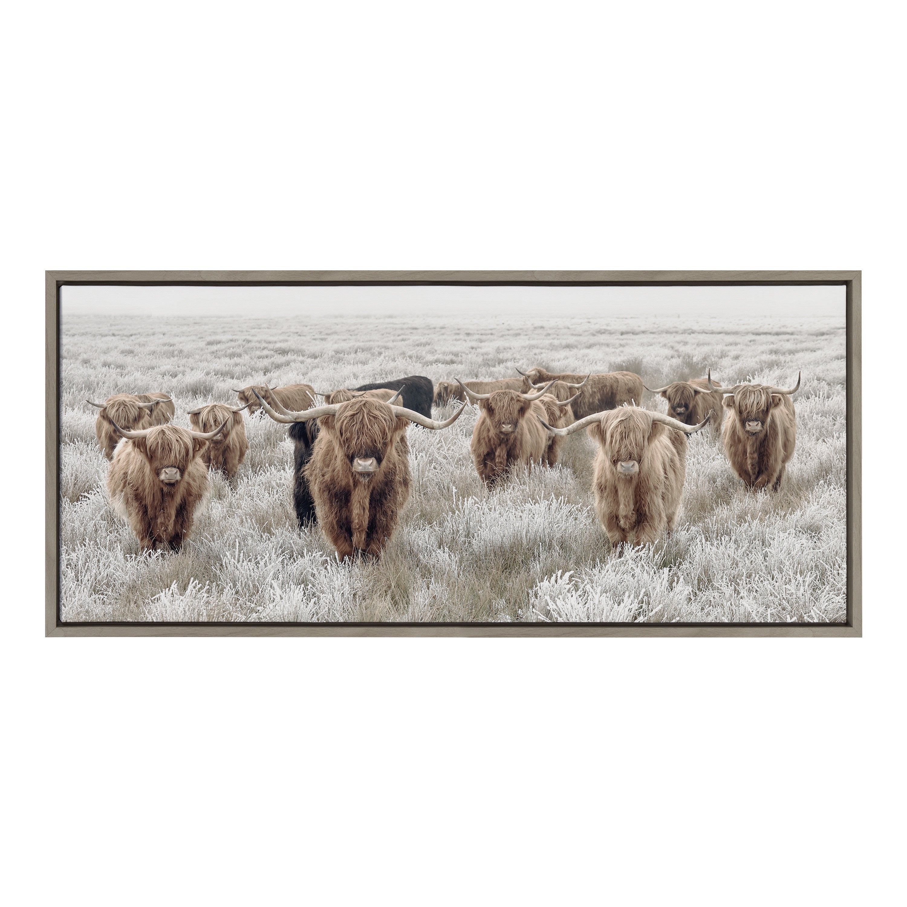Sylvie Herd of Highland Cows Color Framed Canvas by The Creative Bunch by kateandlaurel - product image 8 for Resin Society