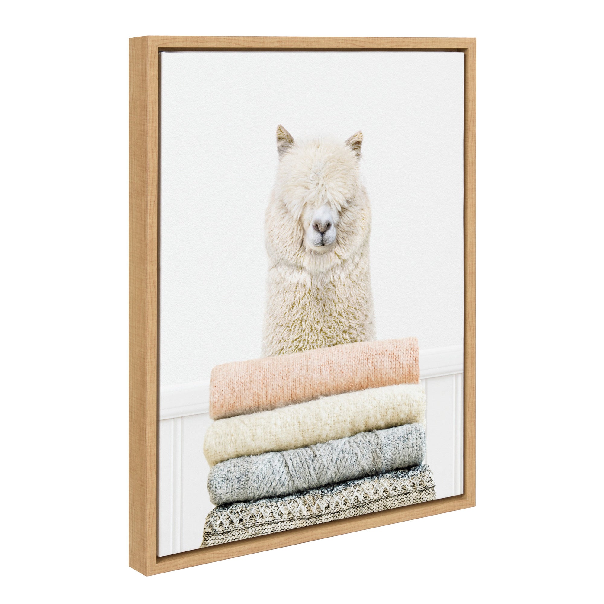 Sylvie Fold Alpaca Framed Canvas by kateandlaurel - main product image for Resin Society