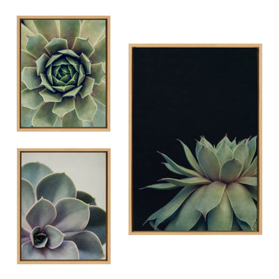 Sylvie Succulent Framed Canvas Set by Emiko and Mark Franzen of F2Images by kateandlaurel - product image 8 for Resin Society
