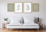 Four botanical canvas prints featuring eucalyptus and line-drawn leaves in sage green and white frames above a white sofa with cushions in a bright, minimalist living room.