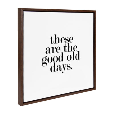 Sylvie Good Old Days Framed Canvas by kateandlaurel - main product image for Resin Society