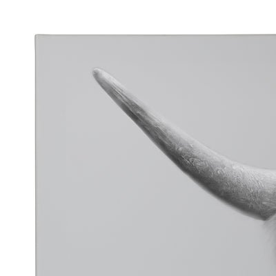 Hey Dude Highland Cow Gray Canvas by The Creative Bunch Studio by kateandlaurel - product image 3 for Resin Society