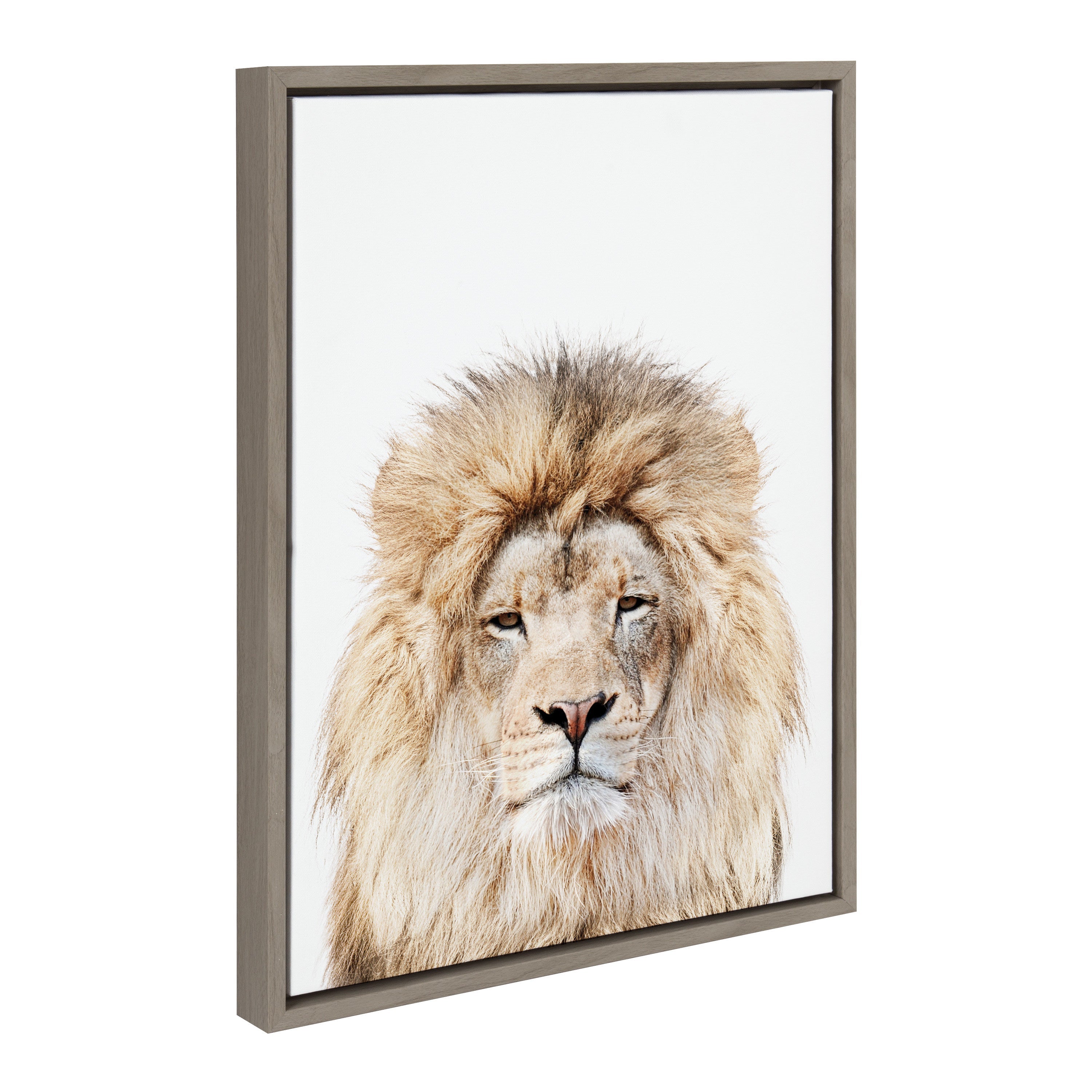 Sylvie Lion Stare Portrait framed canvas art showing a close-up profile of a lion printed on gallery-wrapped canvas with a modern frame