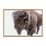 Close-up side profile of a large bison with dense, textured brown fur, framed in a simple light wood frame against a white background.