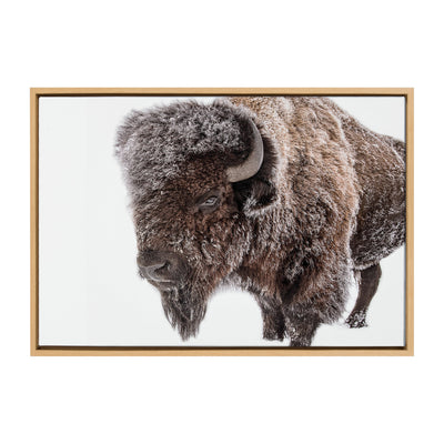 Sylvie Bison in Snow Framed Canvas by Amy Peterson Art Studio