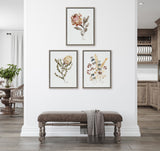 Sylvie Wild Banksia Wild Salvia and Wild King Protea Framed Canvas by kateandlaurel - product image 10 for Resin Society