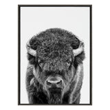 Close-up black and white portrait of a bison facing forward, showing textured fur and curved horns within a narrow black frame on white background.