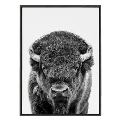 Sylvie Bison Portrait Black and White Framed Canvas by Amy Peterson Art Studio