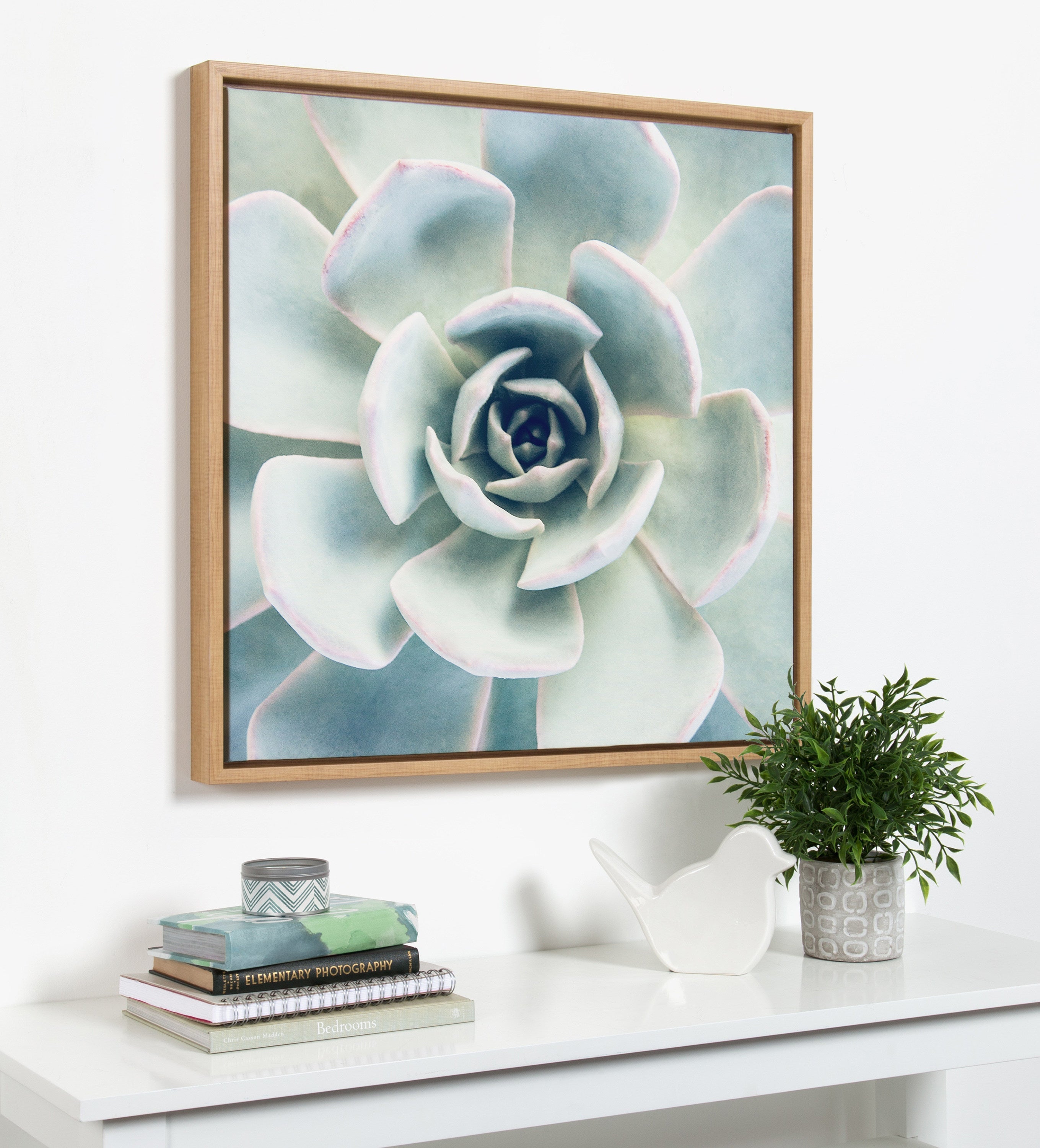 Sylvie Succulent 7 Framed Canvas by kateandlaurel - product image 9 for Resin Society