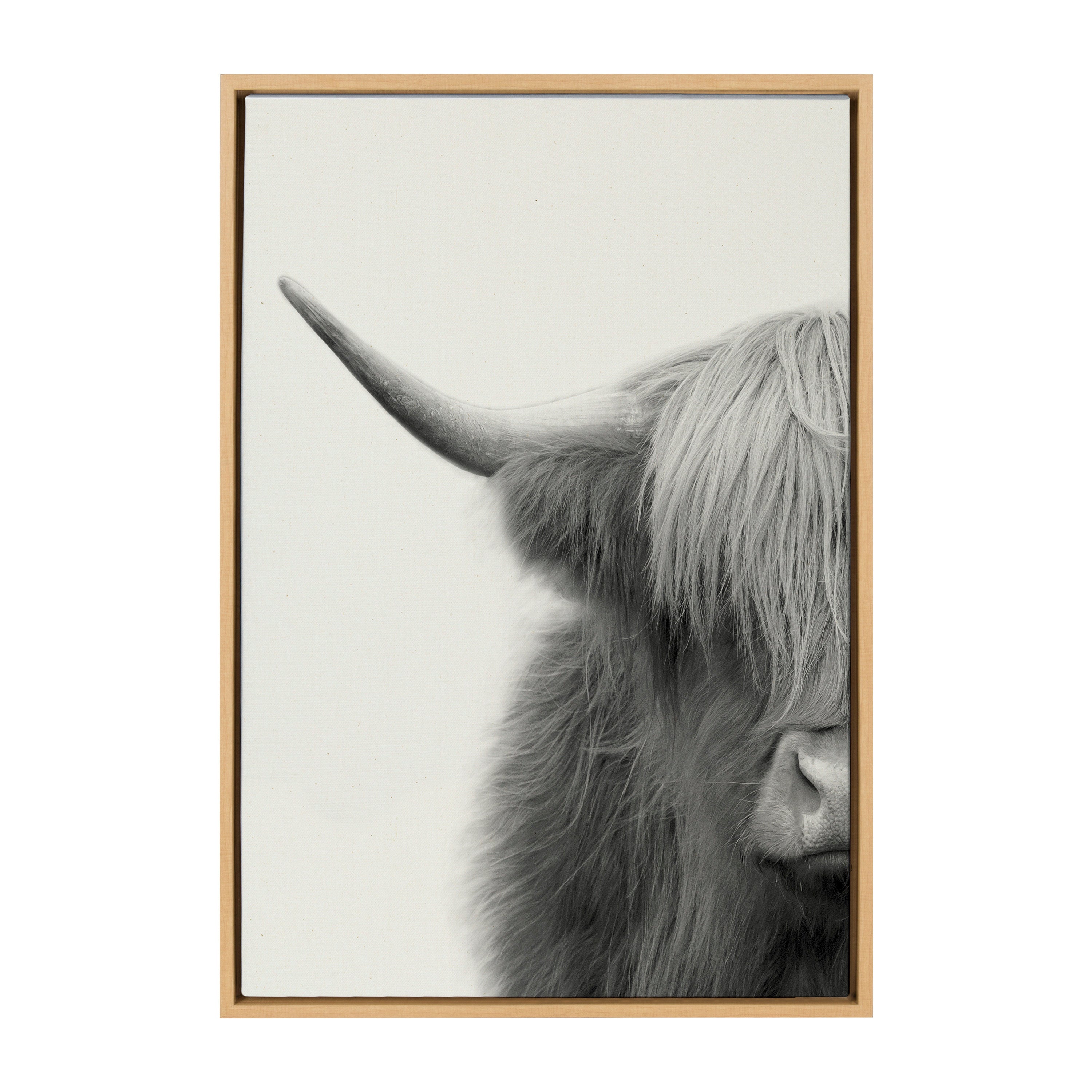 Sylvie Hey Dude Highland Cow Crop Framed Canvas by The Creative Bunch by kateandlaurel - product image 10 for Resin Society