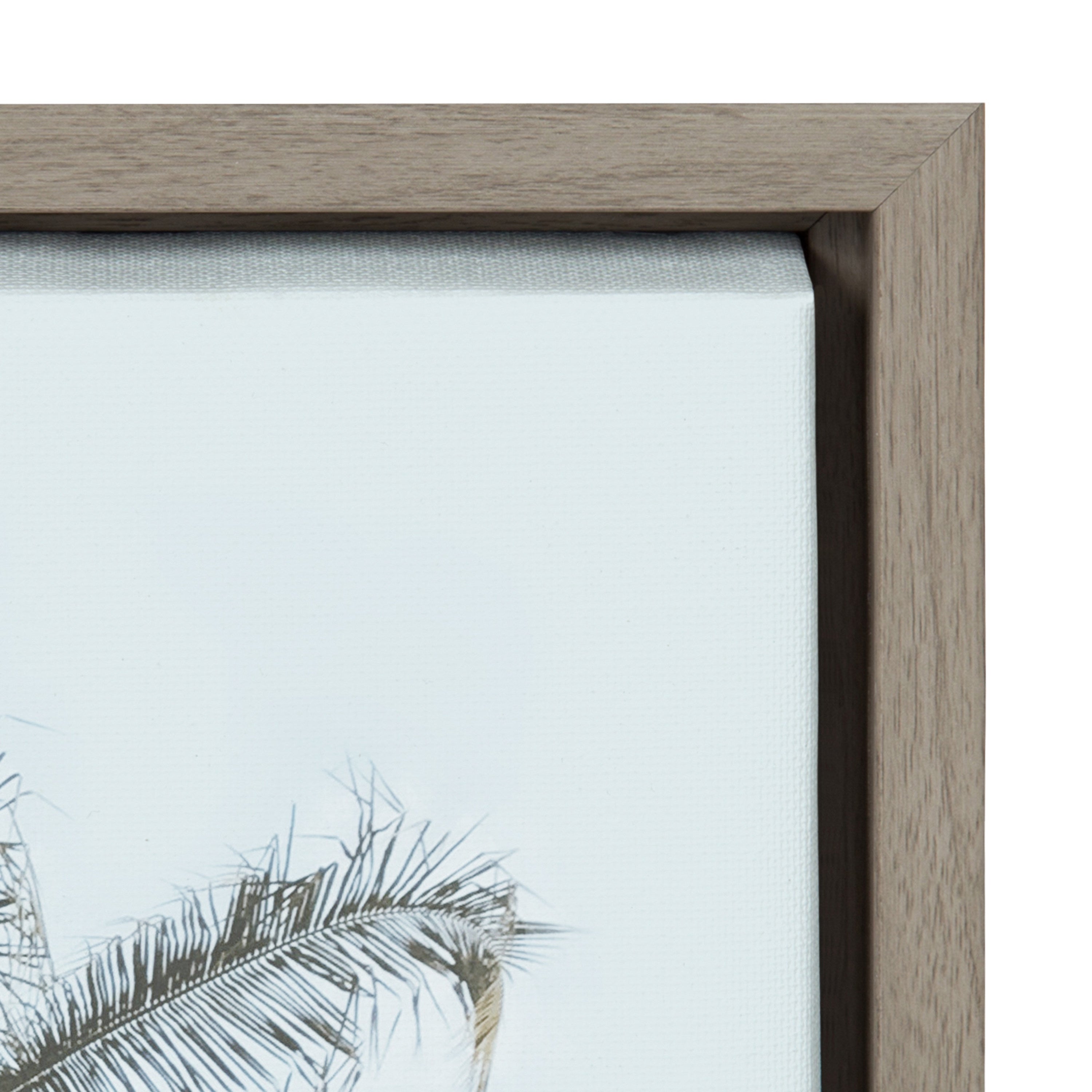 Sylvie One Coconut Palm Tree Framed Canvas by The Creative Bunch Studio by kateandlaurel - product image 12 for Resin Society