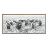 Sylvie Herd of Highland Cows Black and White Framed Canvas by The by kateandlaurel - product image 4 for Resin Society
