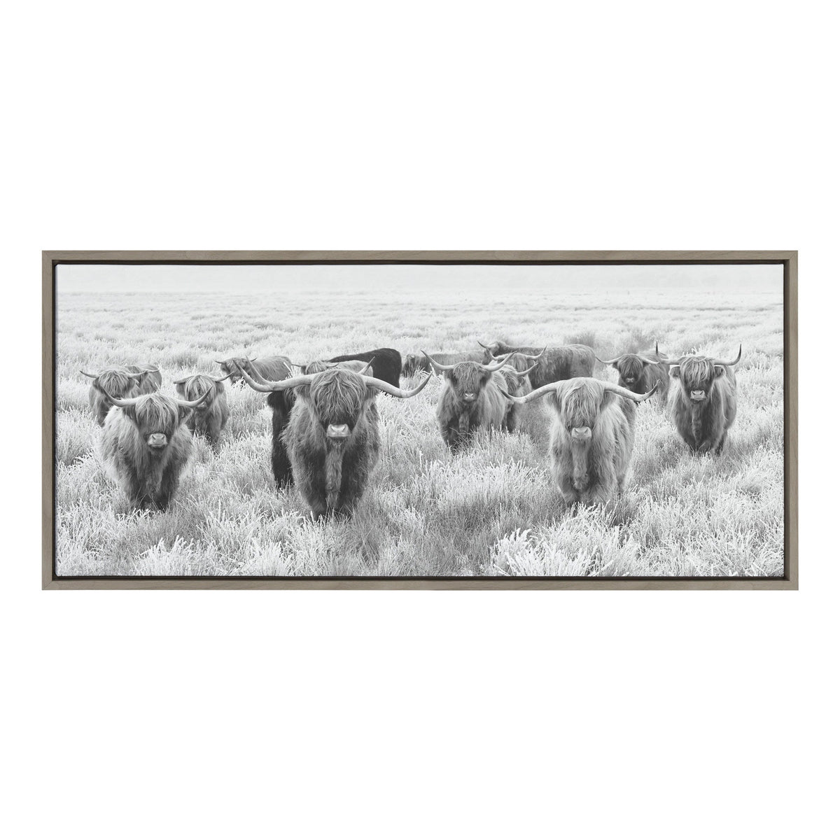 Sylvie Herd of Highland Cows Black and White Framed Canvas by The by kateandlaurel - product image 4 for Resin Society