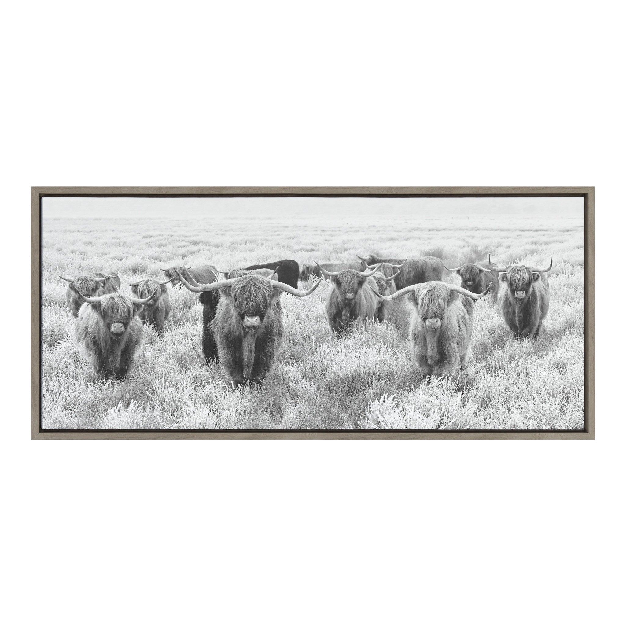 Sylvie Herd of Highland Cows Black and White Framed Canvas by The by kateandlaurel - product image 4 for Resin Society