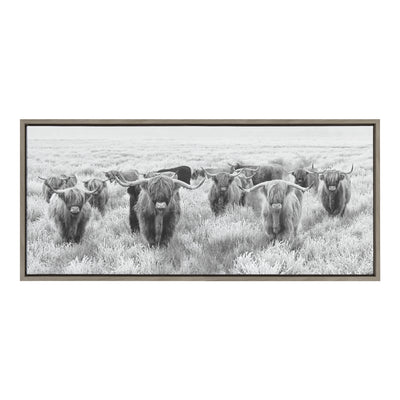 Sylvie Herd of Highland Cows Black and White Framed Canvas by The by kateandlaurel - product image 14 for Resin Society