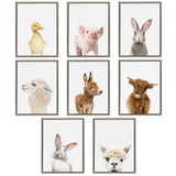 Sylvie Animal Studio Cute Male Rabbit Framed Canvas by kateandlaurel - product image 6 for Resin Society
