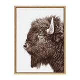 Detailed sepia-toned profile of a bison's head with textured fur and a prominent curved horn, framed in simple light wood.