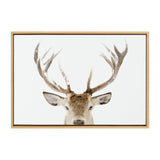 Framed canvas featuring a close-up of a stag's head with prominent, uneven antlers against a white background, highlighting natural fur and texture.