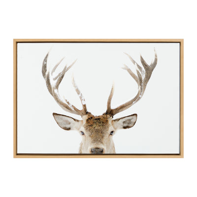 Sylvie Stag Peekaboo Framed Canvas by Amy Peterson Art Studio