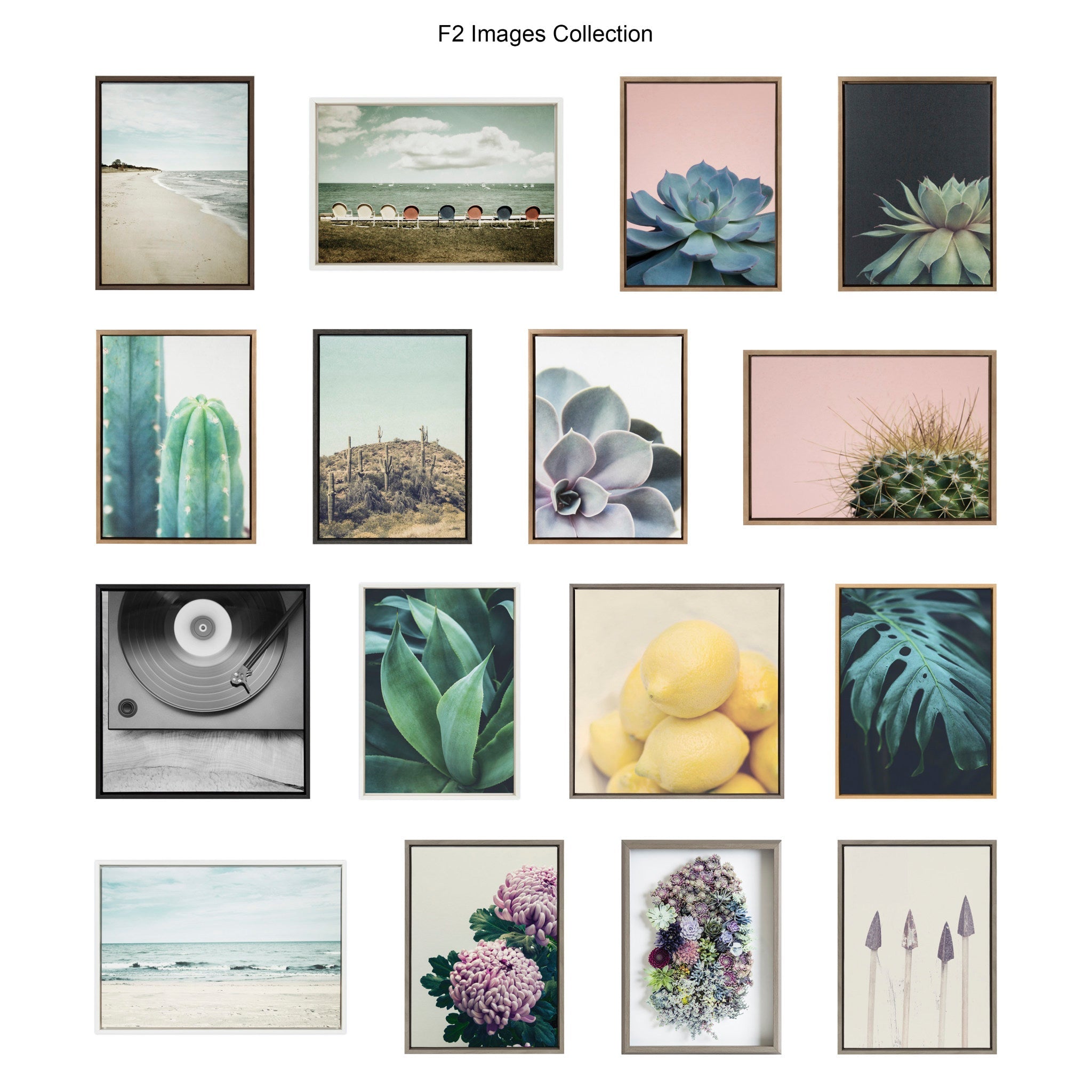 Sylvie Salutation Framed Canvas by Emiko and Mark Franzen of F2Images