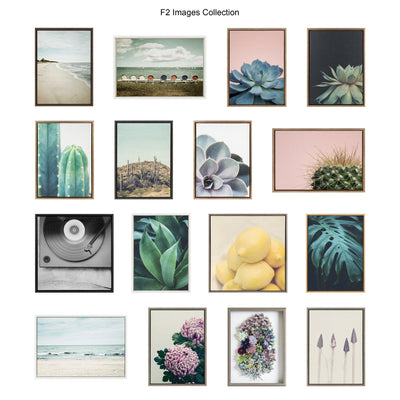 Sylvie Salutation Framed Canvas by Emiko and Mark Franzen of F2Images