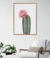 Framed canvas art of a green cactus with vertical ridges and a large pink flower blooming on top, hanging on a white wall above a cozy chair with neutral cushions and blanket.
