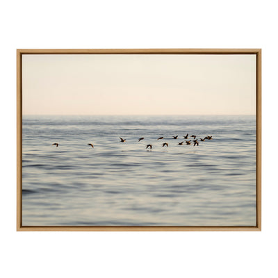 Sylvie Birds of a Feather Framed Canvas by kateandlaurel - product image 8 for Resin Society
