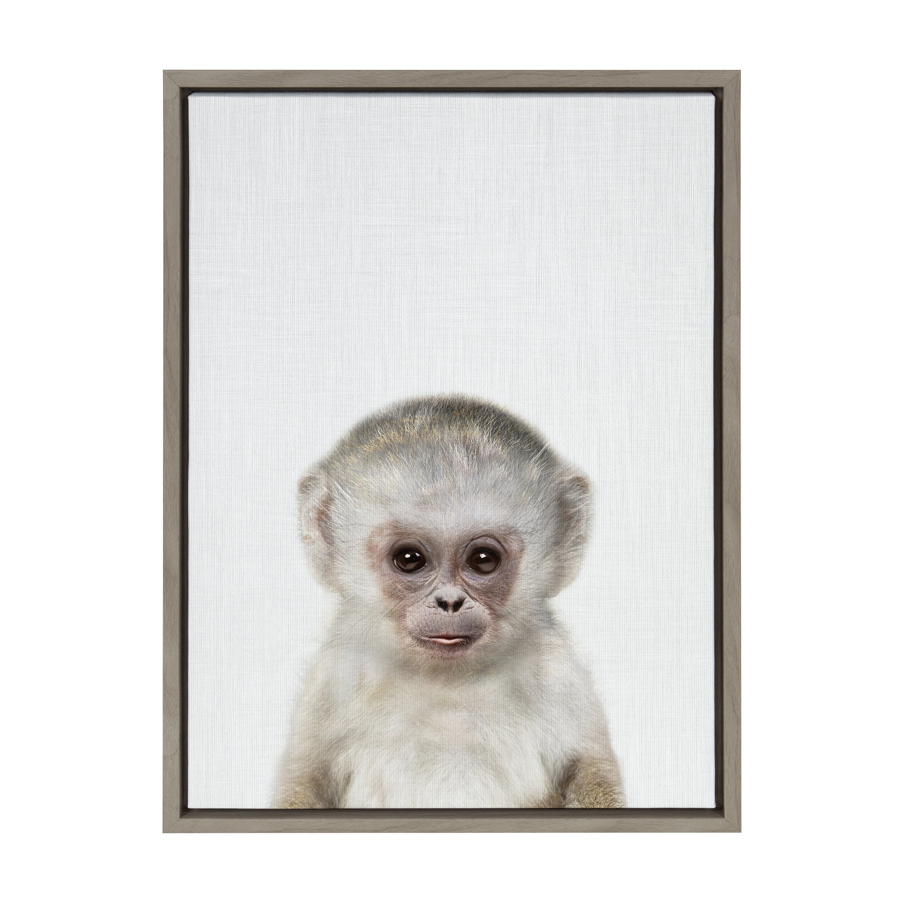 Sylvie Monkey Color Framed Canvas by kateandlaurel - product image 8 for Resin Society