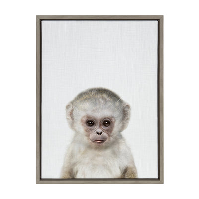 Sylvie Monkey Color Framed Canvas by kateandlaurel - product image 8 for Resin Society