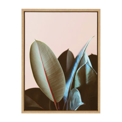 Sylvie Ficus Elastica Framed Canvas by Alicia Bock