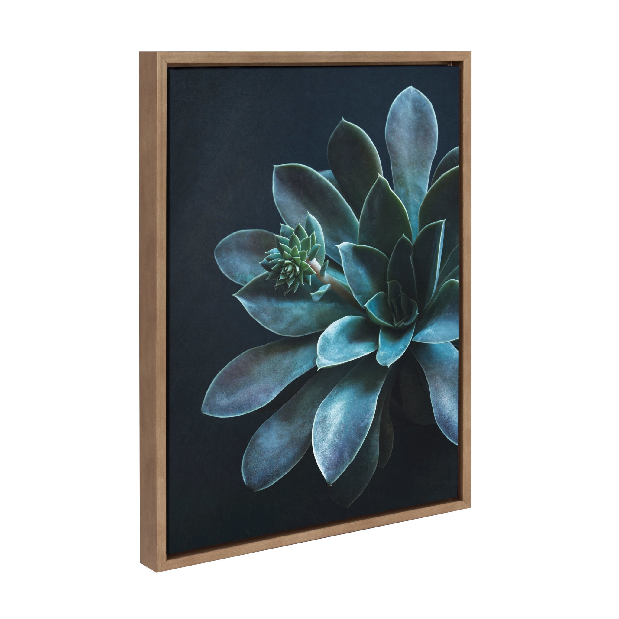 Sylvie Little One Framed Canvas by kateandlaurel - product image 2 for Resin Society