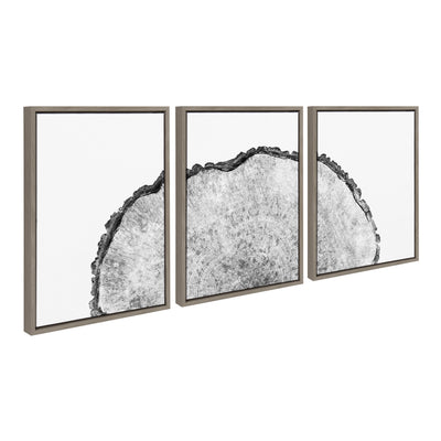 Sylvie Tree Rings Set Framed Canvas by kateandlaurel - product image 7 for Resin Society