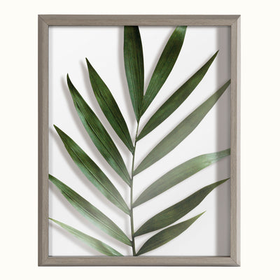 Blake Botanical 5F Framed Printed Glass by Amy Peterson by kateandlaurel - product image 20 for Resin Society