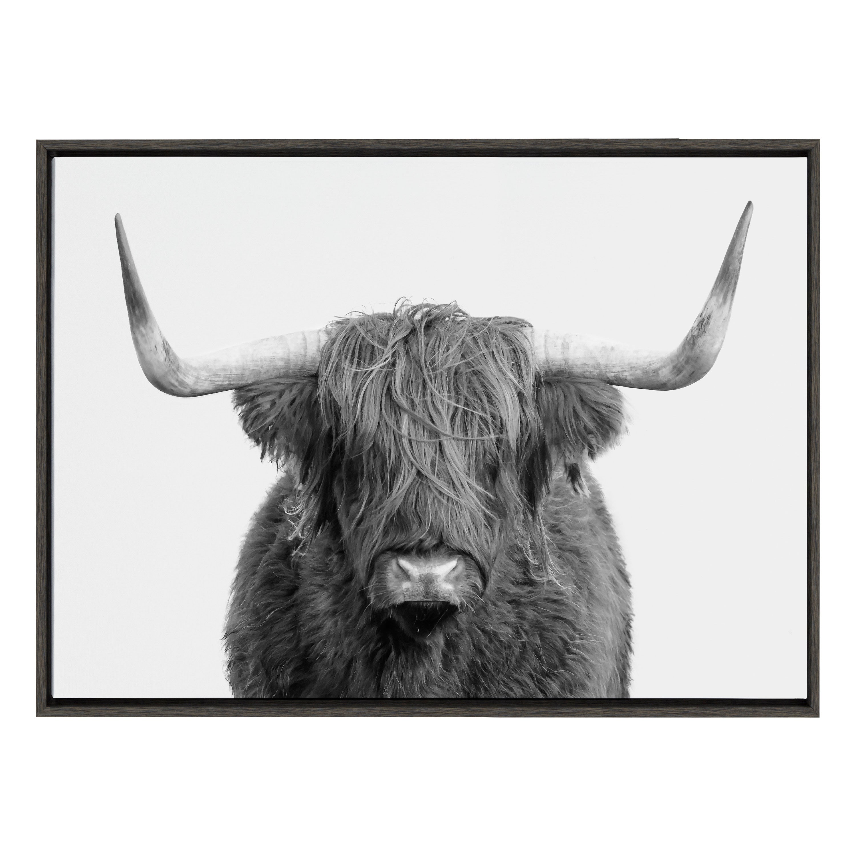 Sylvie Highland Cow Portrait Framed Canvas by Amy Peterson Art Studio by kateandlaurel - product image 6 for Resin Society