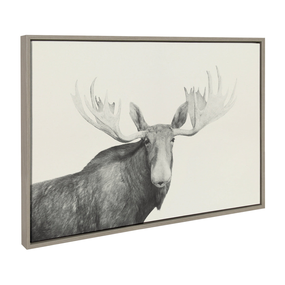 Sylvie Moose 2 crop BW Framed Canvas by kateandlaurel - product image 2 for Resin Society
