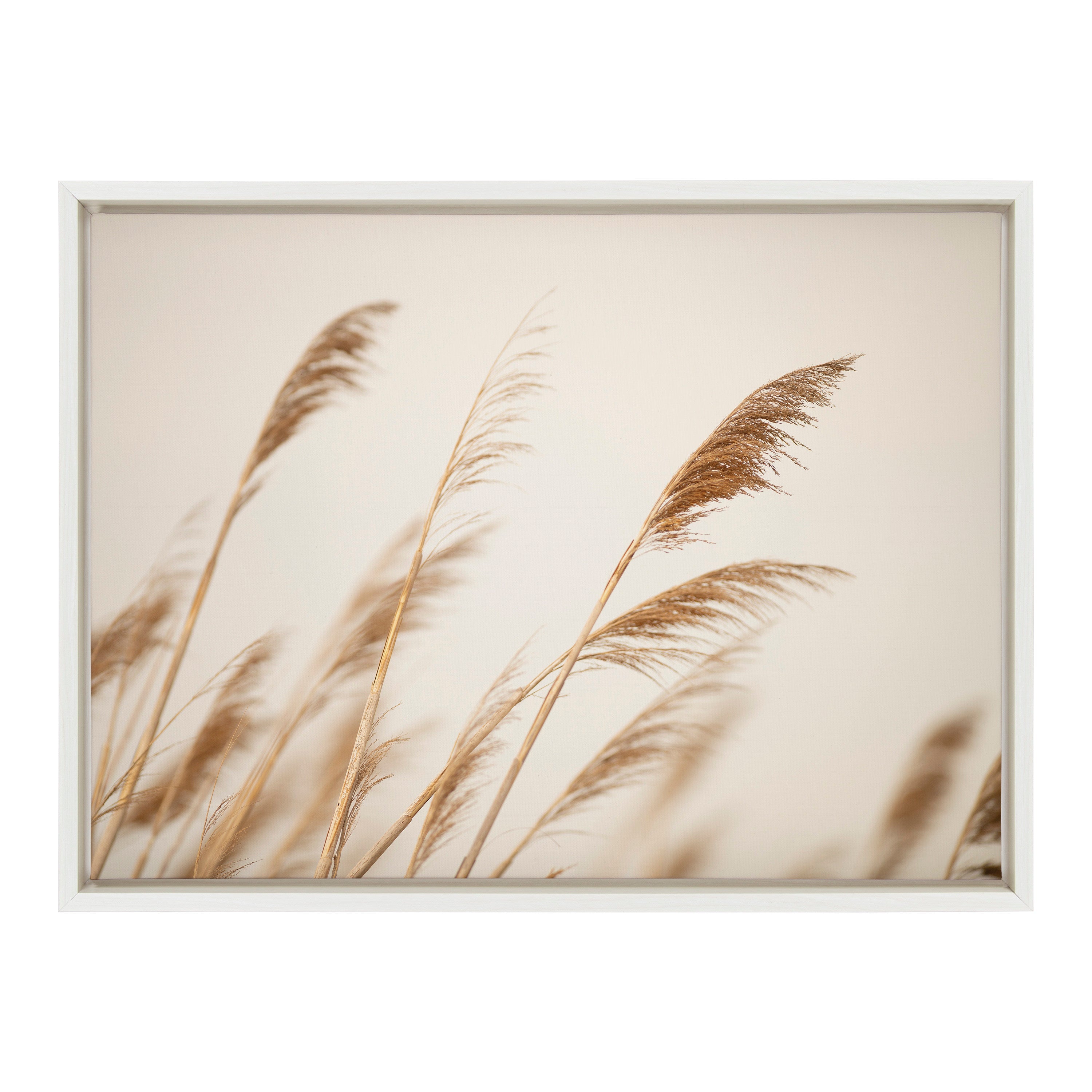 Sylvie Marsh Grass No 8 Framed Canvas by Crystal Lynn Collins