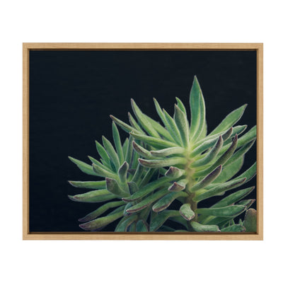Sylvie Succulent 13 Framed Canvas by kateandlaurel - main product image for Resin Society