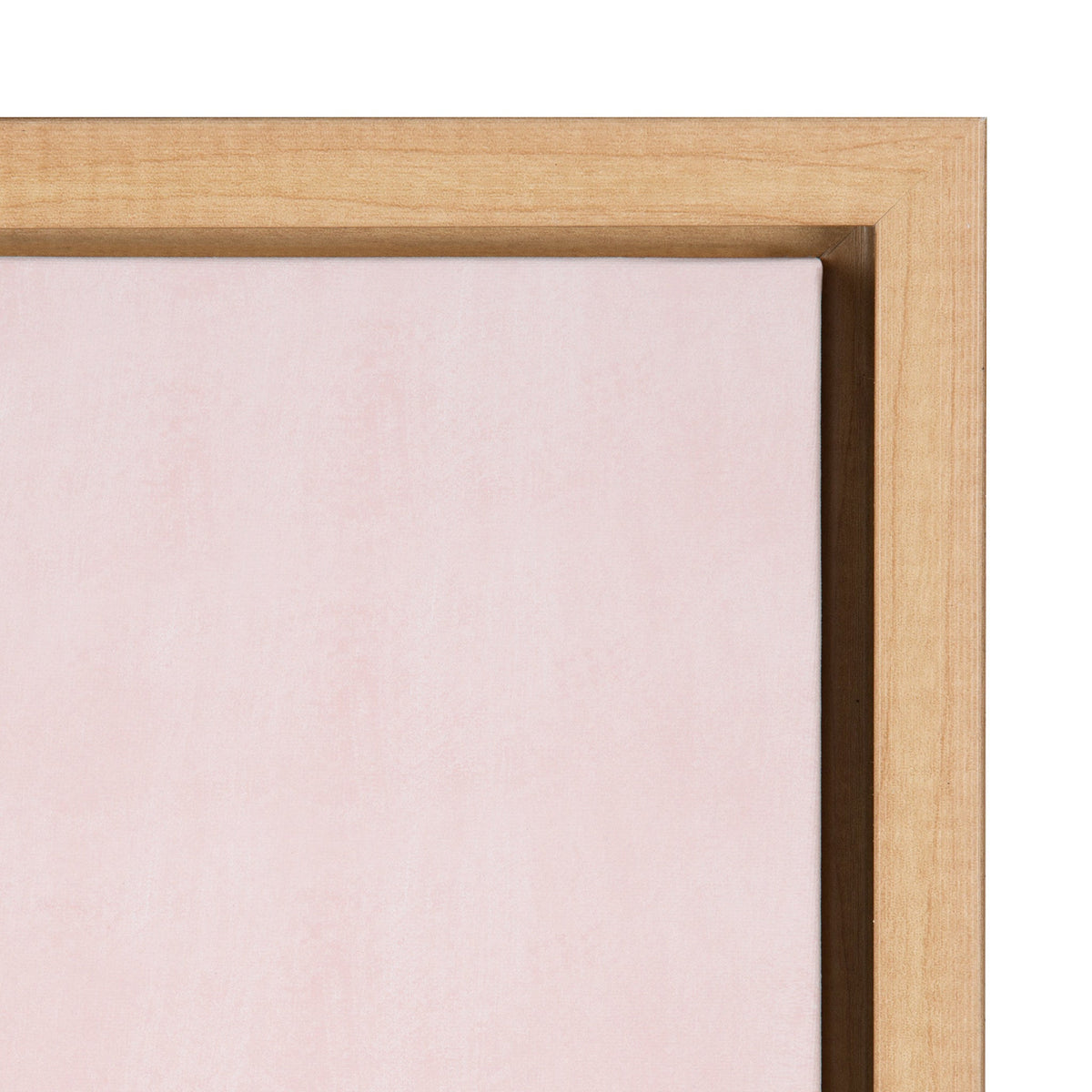 Sylvie Shade Squad Framed Canvas by kateandlaurel - product image 3 for Resin Society