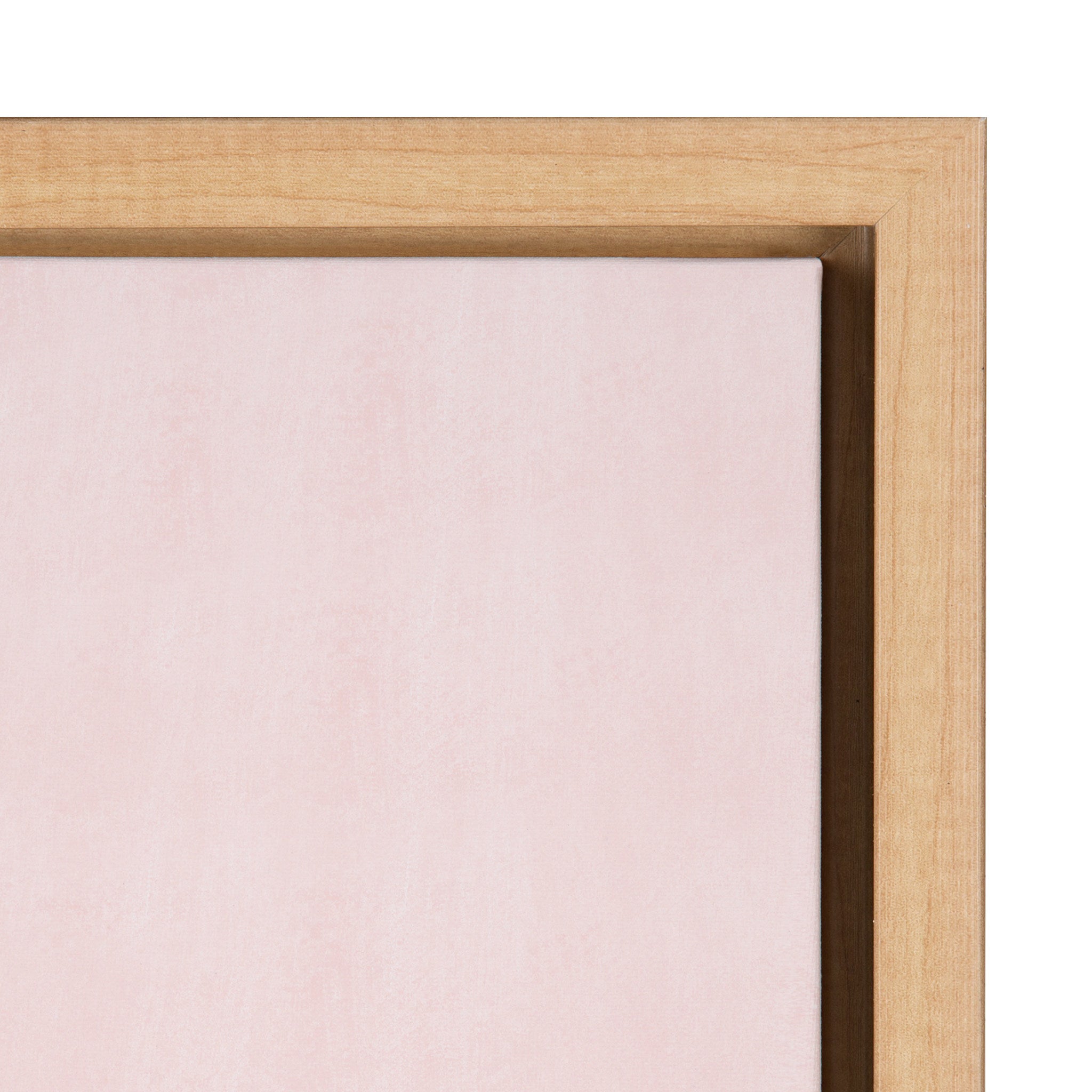 Sylvie Shade Squad Framed Canvas by kateandlaurel - product image 3 for Resin Society