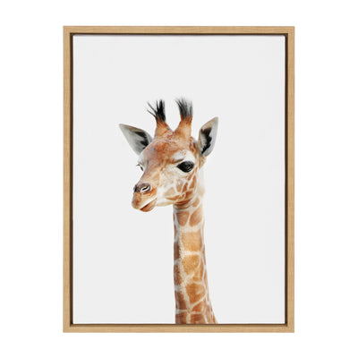 Sylvie Baby Giraffe Framed Canvas by Amy Peterson by kateandlaurel - main product image for Resin Society