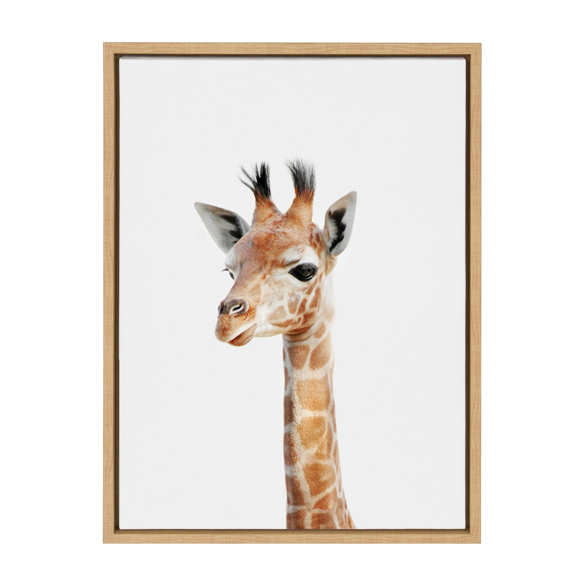 Sylvie Baby Giraffe Framed Canvas by Amy Peterson by kateandlaurel - product image 7 for Resin Society