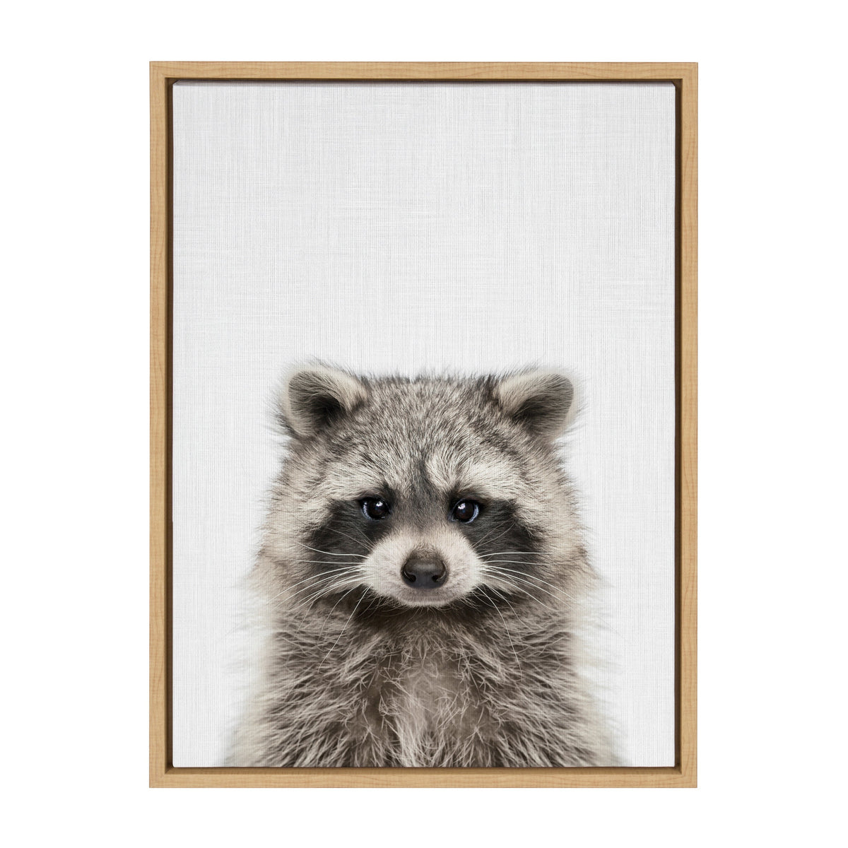 Sylvie Raccoon Color Framed Canvas by kateandlaurel - product image 2 for Resin Society